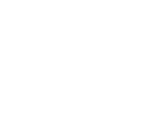 VidCon Now